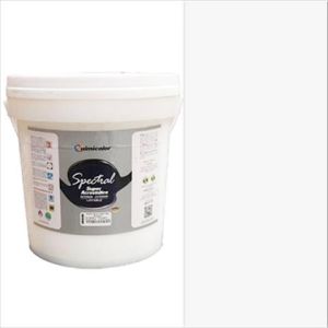 SPECTRAL BLANCO 1 CUÑ 4GAL. QUIMICOLOR